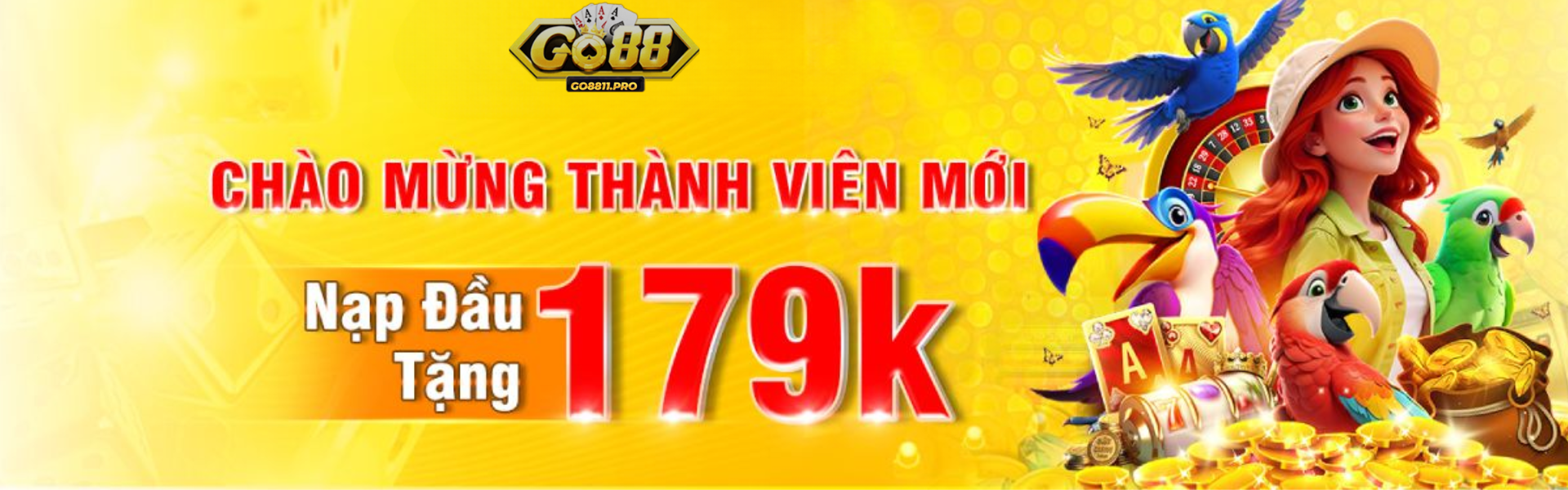 Banner www.hape.skin